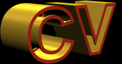 blackjack card counting software